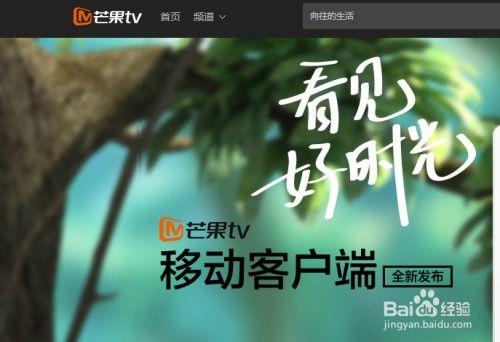 芒果电影直播在线观看,畅享云端观影新体验 第1张 芒果电影直播在线观看,畅享云端观影新体验 第1张